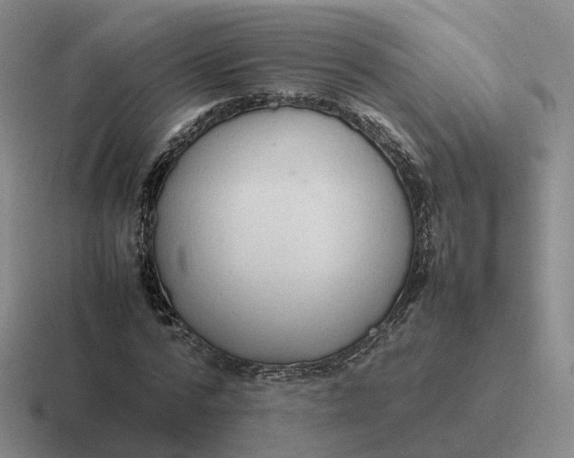 X0000116880776201001051503