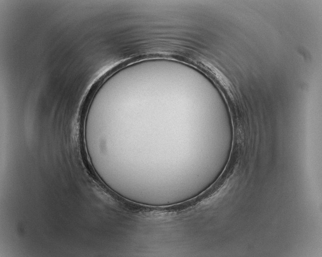 X0000116880779201001051503