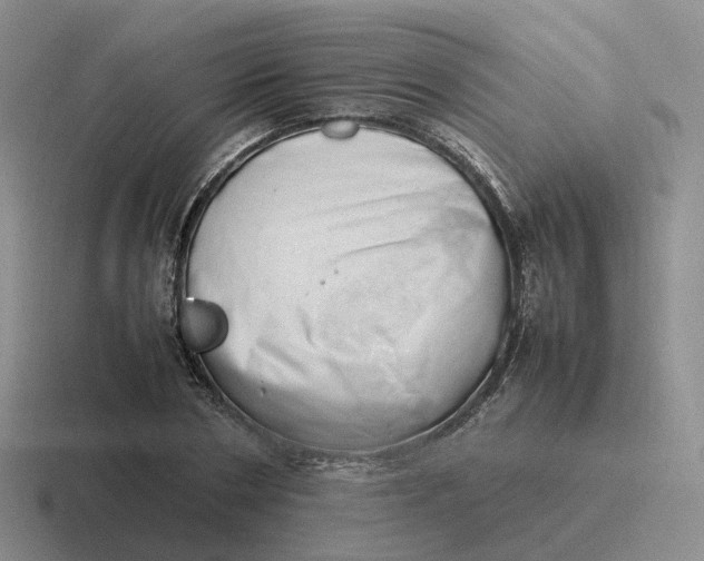 X0000116880786201001051503