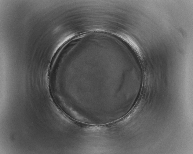 X0000116880806201001051503