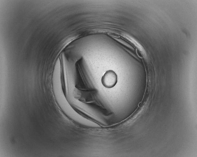 X0000116880809201001051503