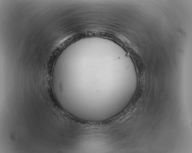 X0000116880822201001051502