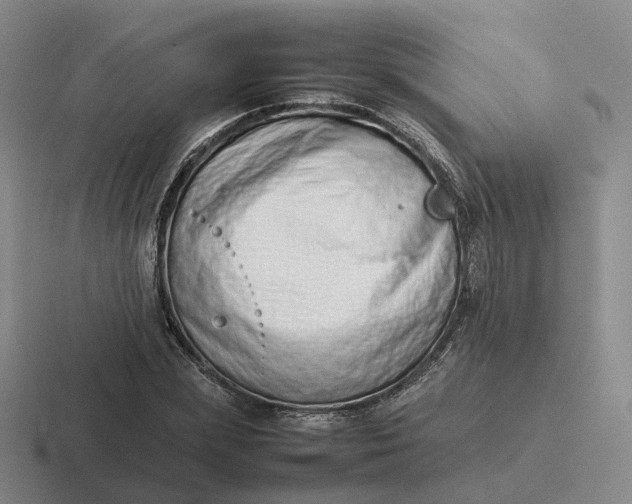 X0000116880831201001051502