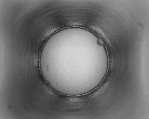 X0000116880833201001051502