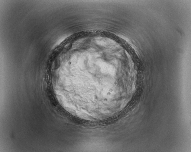 X0000116880871201001051502