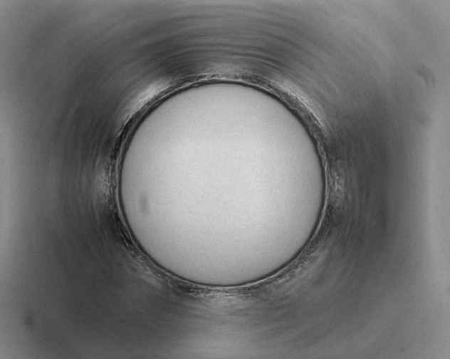 X0000116880874201001051502