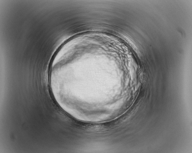 X0000116880891201001051502