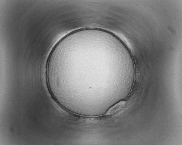 X0000116880903201001051502