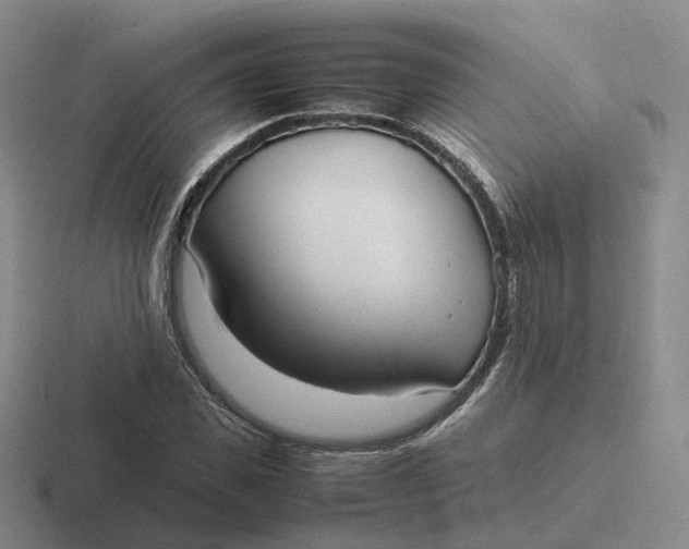 X0000116880925201001051501