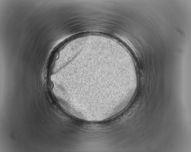 X0000116880971201001051501