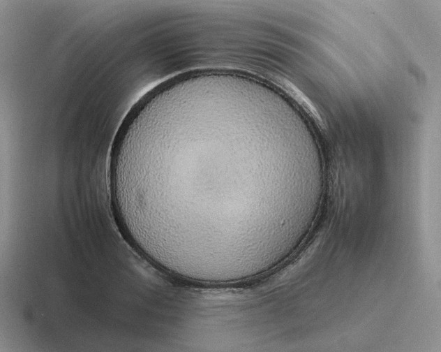 X0000116880988201001051501