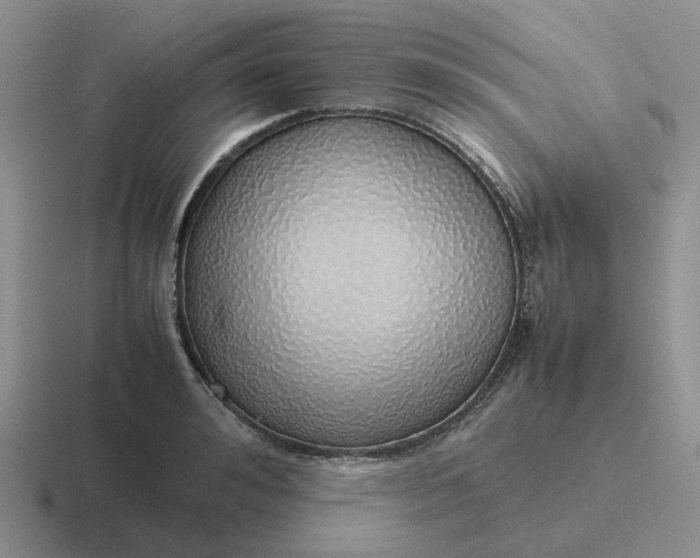 X0000116880992201001051500
