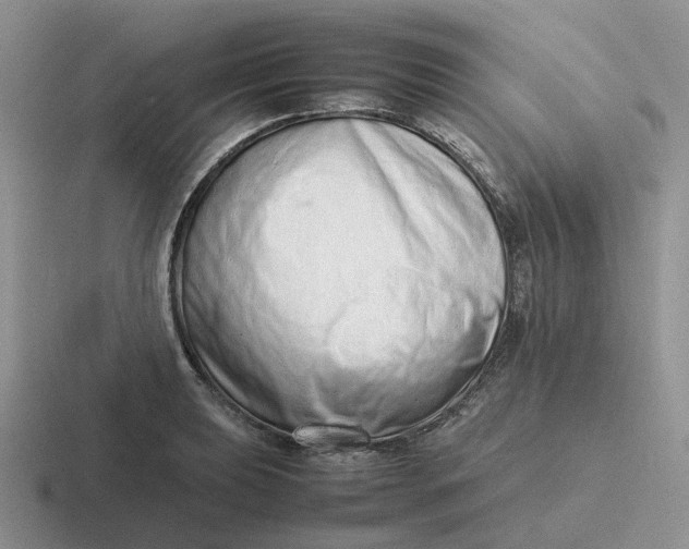 X0000116881039201001051500