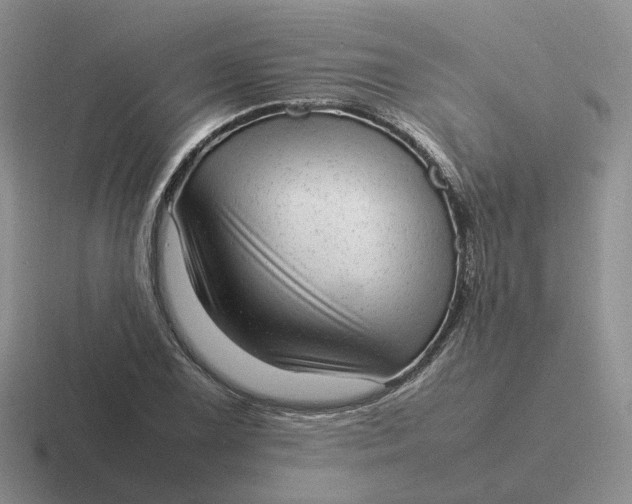 X0000116881075201001051459