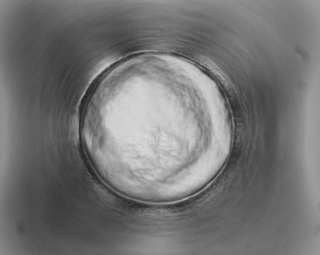 X0000116881079201001051459