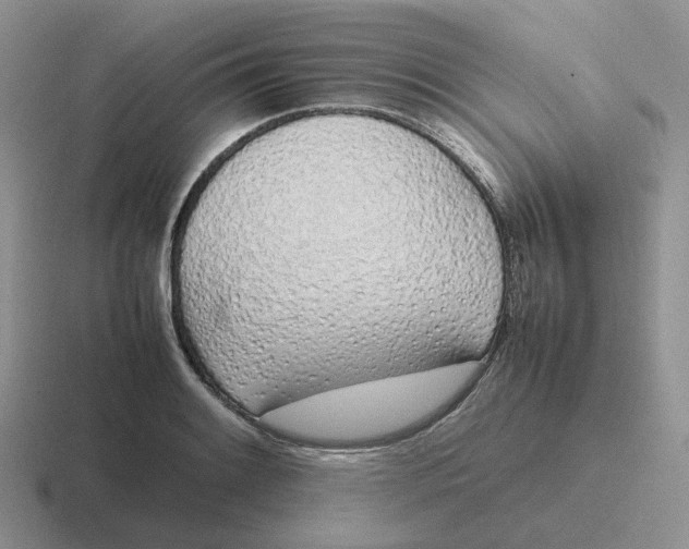 X0000116881084201001051459