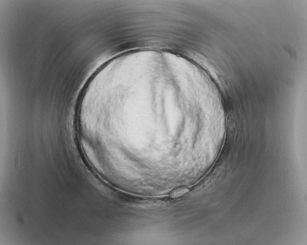 X0000116881091201001051459