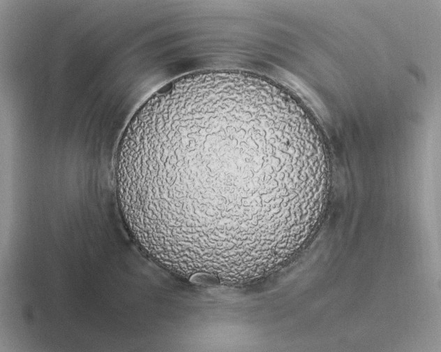 X0000116881097201001051459