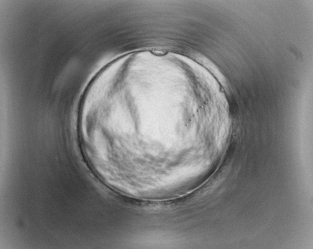 X0000116881099201001051459
