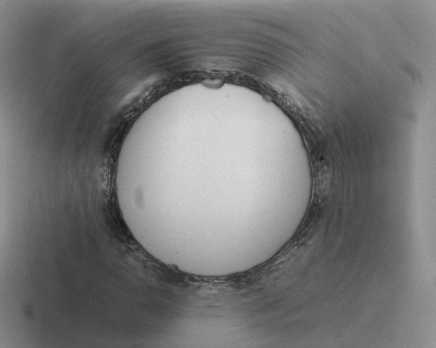 X0000116881110201001051459