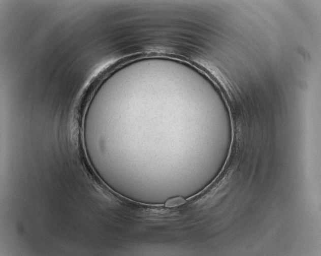 X0000116881115201001051459