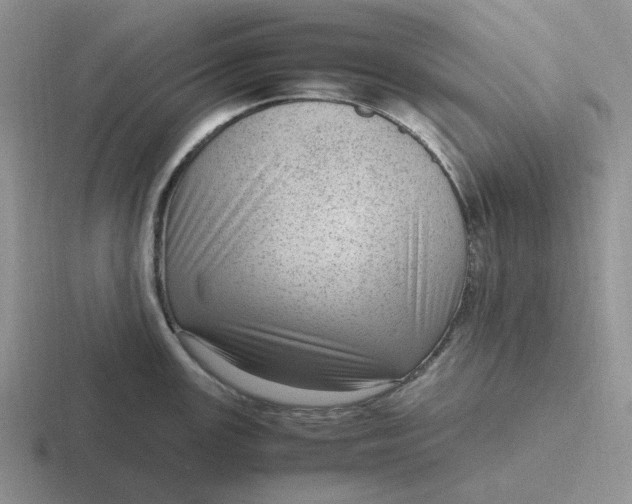 X0000116881147201001051459