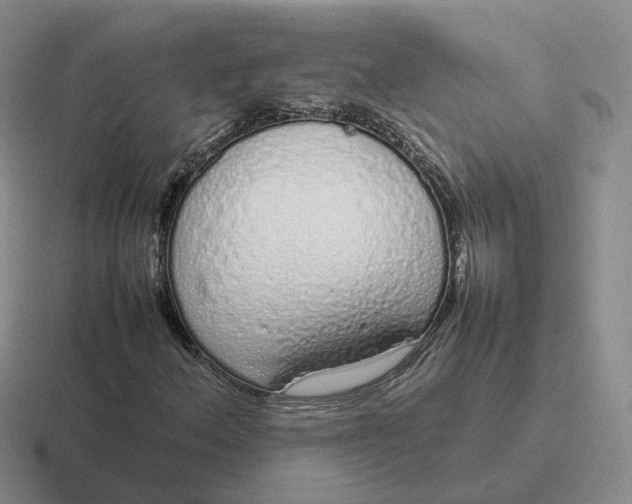 X0000116881156201001051458