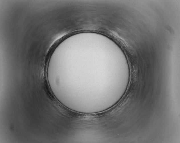 X0000116881166201001051458