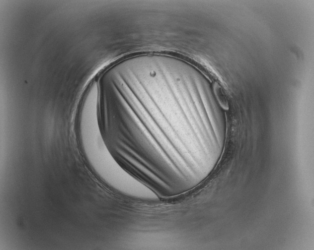 X0000116881173201001051458