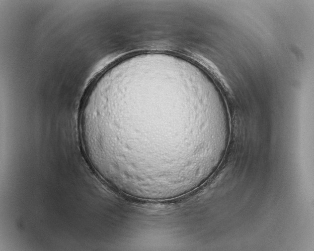 X0000116881176201001051458