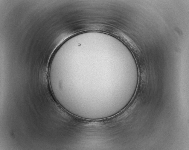 X0000116881178201001051458