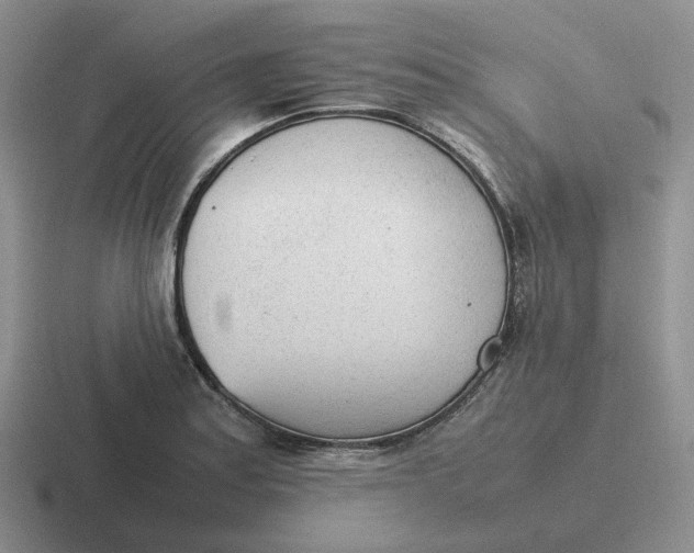 X0000116881179201001051458