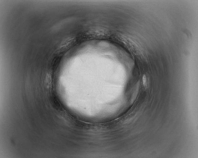 X0000116881203201001051457