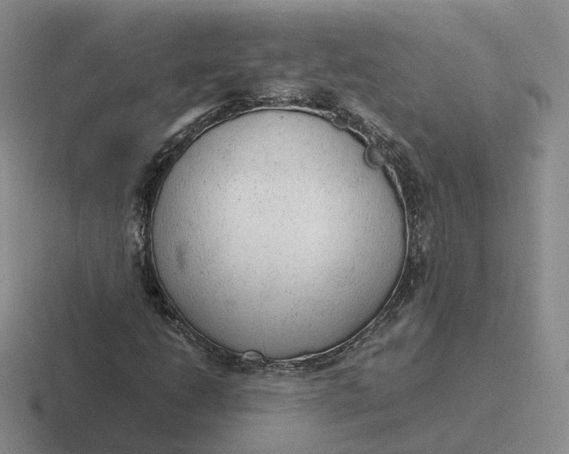X0000116881206201001051457