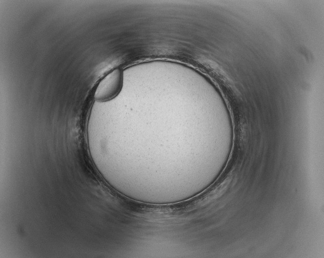 X0000116881210201001051457