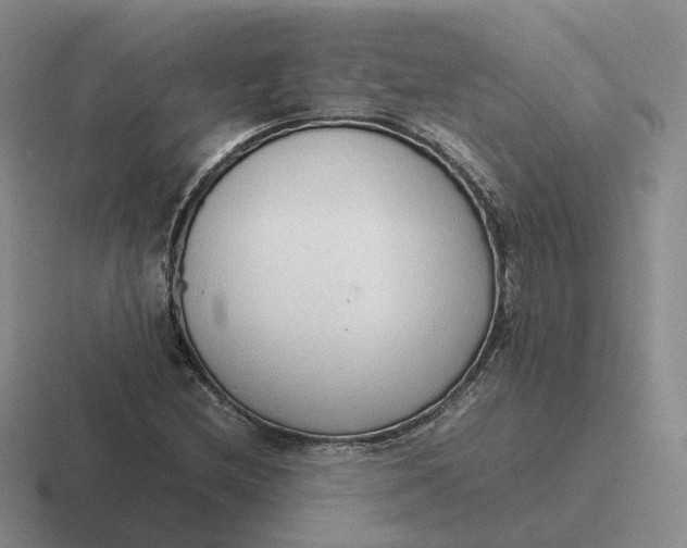 X0000116881212201001051457