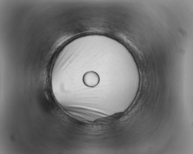 X0000116881215201001051457