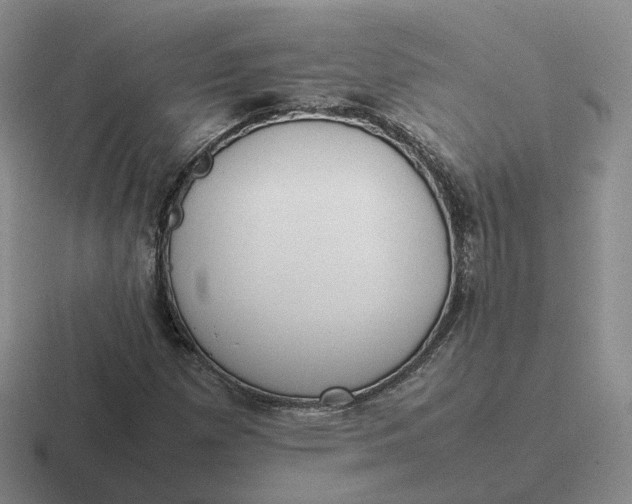 X0000116881257201001051457
