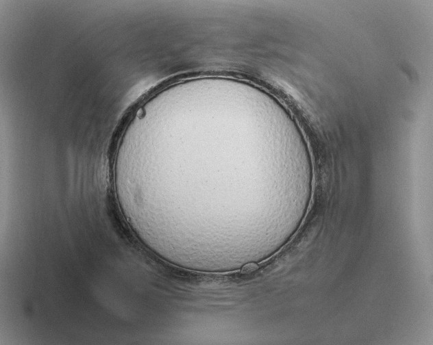 X0000116881267201001051457