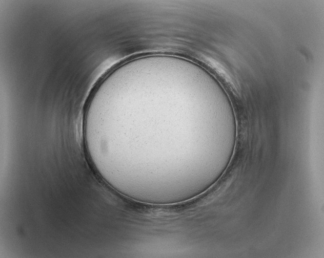 X0000116881275201001051457