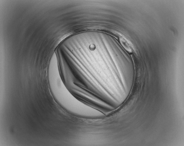 X0000116881281201001051457