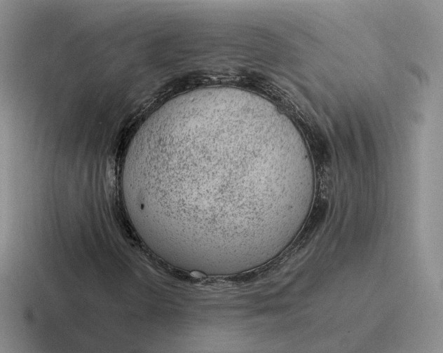 X0000116881298201001051456
