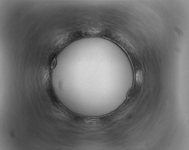 X0000116881299201001051456