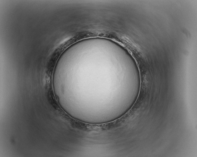 X0000116881302201001051456