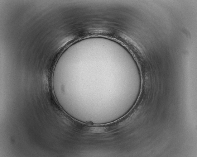 X0000116881305201001051456