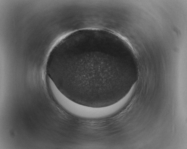 X0000116881319201001051456
