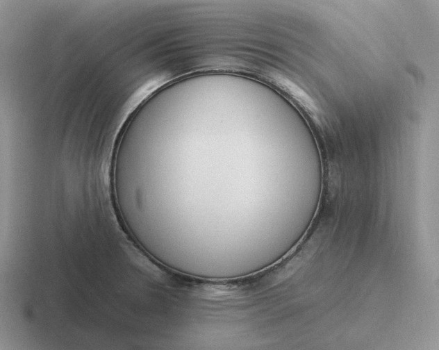 X0000116881330201001051456