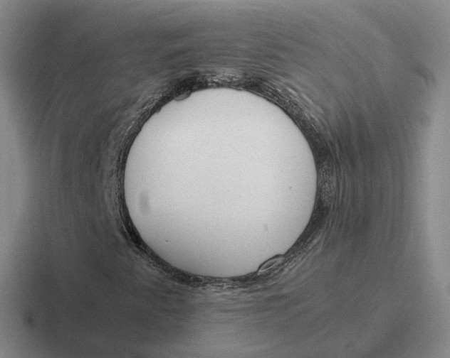 X0000116881345201001051456