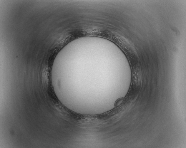 X0000116881346201001051456