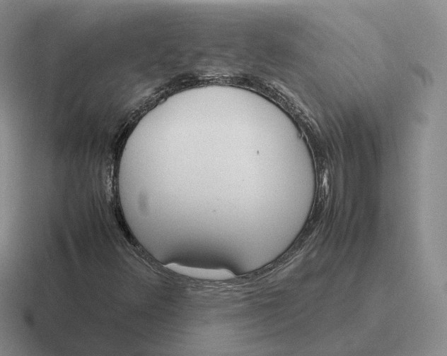 X0000116881348201001051456
